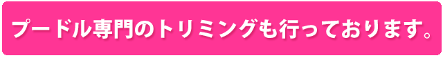 トイプードル専門のトリミングも行っております。