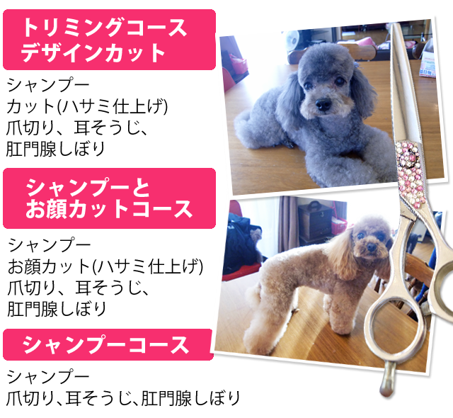 トリミングコースは、シャンプー(ラファンシーヌ)、カット(ハサミ仕上げ)、爪切り、耳そうじ、肛門腺しぼり。シャンプーとお顔カットコースは、シャンプー(ラファンシーヌ)、お顔カット(ハサミ仕上げ)、爪切り、耳そうじ、肛門腺しぼり。シャンプーコースは、シャンプー(ラファンシーヌ)、爪切り、耳そうじ、肛門腺しぼり